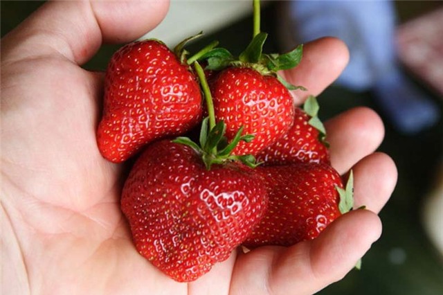 cách làm trắng răng, mẹo vặt,