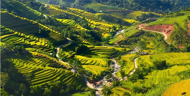 Vẻ đẹp vùng đất Hoàng Su Phì