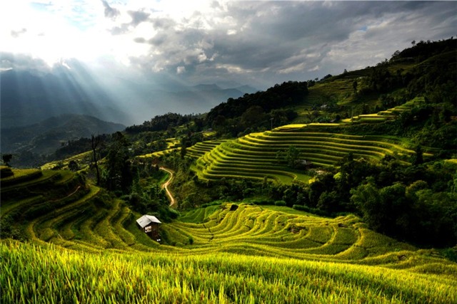 Vẻ đẹp vùng đất Hoàng Su Phì