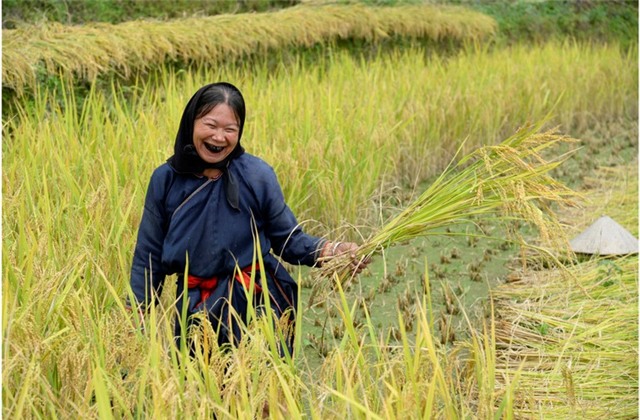 Vẻ đẹp vùng đất Hoàng Su Phì