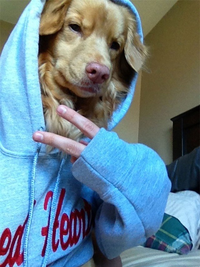 999 hinh anh "coi chung nhin nham" (151-160) hinh anh 6