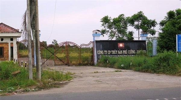 Mr. Đàm, Đàm Vĩnh Hưng, đám cưới, siêu xe, Cà Mau, đại gia, thủy sản, Phú Cường, thua lỗ, nợ ngân hàng, Mr-Dam, Đàm-Vĩnh-Hưng, đám-cưới, siêu-xe, đại-gia, thủy-sản, thua-lỗ, Cà-Mau