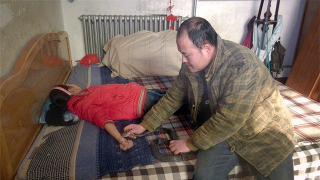 tq: bat ran can con gai de chua benh la hinh anh 1