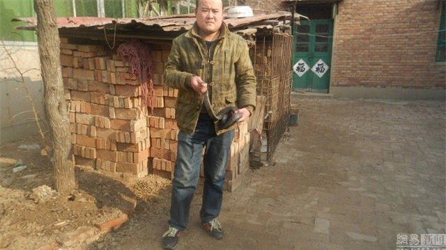 tq: bat ran can con gai de chua benh la hinh anh 4