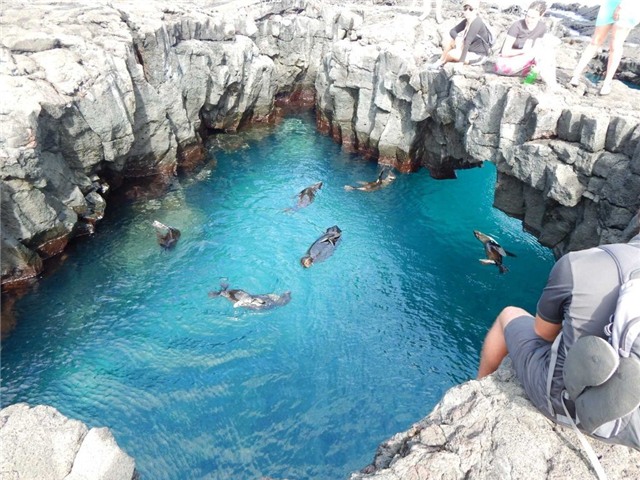 Việt Nam được bình chọn là điểm đến lý tưởng nhờ đồ ăn ngon