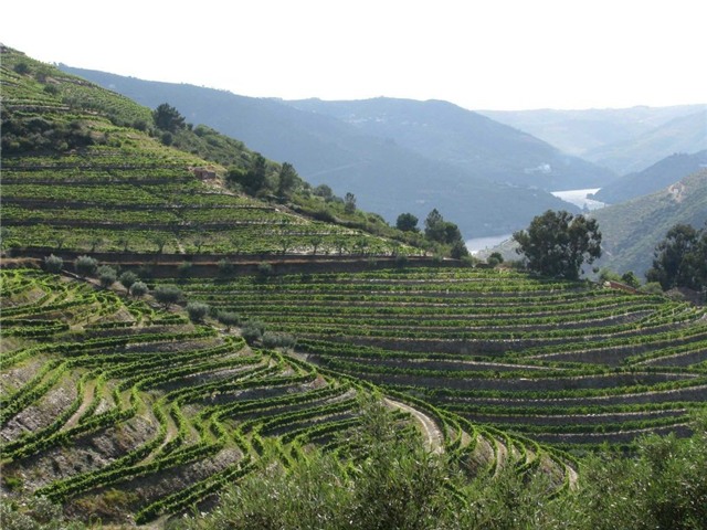 Việt Nam được bình chọn là điểm đến lý tưởng nhờ đồ ăn ngon