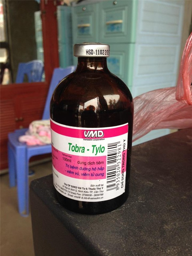 đặc sản lợn rừng, gà rừng, đặc sản, lợn mán, Tết nguyên đán, gà Đông Tảo, thuốc tăng trọng,đặc-sản-lợn-rừng, gà-rừng, đặc-sản, Tết-nguyên-đán, gà-Đông-Tảo, thuốc-tăng-trọng