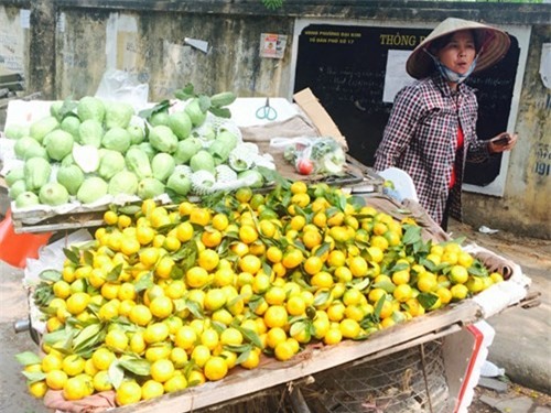 Trái cây Trung Quốc ùn ùn dội chợ