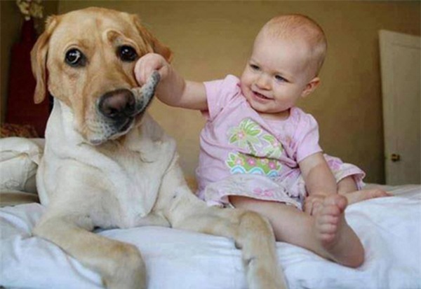 tai-nan-blogtamsuvn (4)