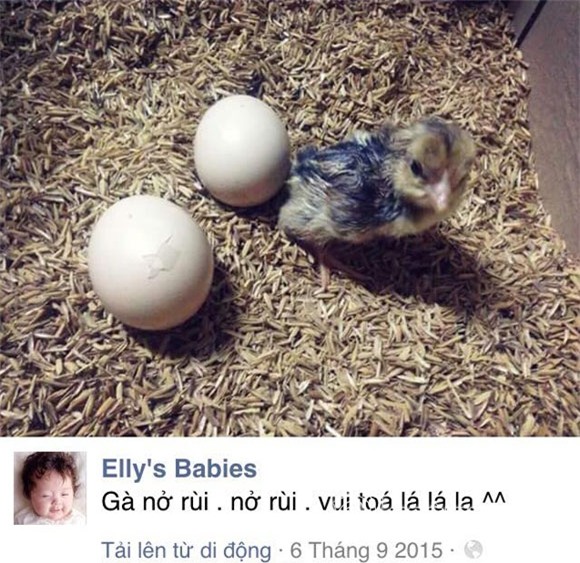 Thêm loạt bằng chứng Elly Trần bí mật sinh con lần 2 3