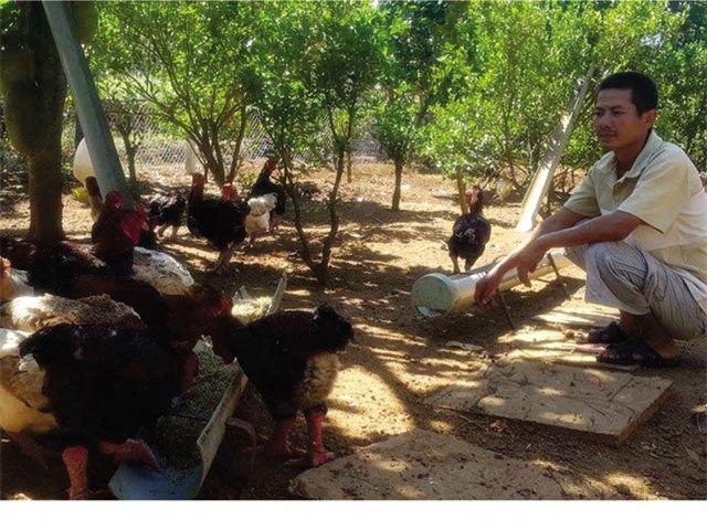 bo nghe xay dung vi... me ga dong tao hinh anh 1