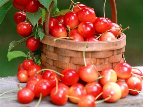 qua-anh-dao-tot-cho-suc-khoe