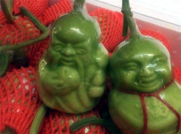 dưa lê thần tài, dưa lê Trung Quốc, thờ tết, dưa lê độc hại, chất bảo quản, thuốc kích thích, chất cấm, fanpage dưa Thần tài, Trung Quốc, dưa-lê-thần-tài, dưa-lê-Trung-Quốc, thờ-tết, độc-hại, chất-bảo-quản, thuốc-kích-thích, chất-cấm, trung-quốc