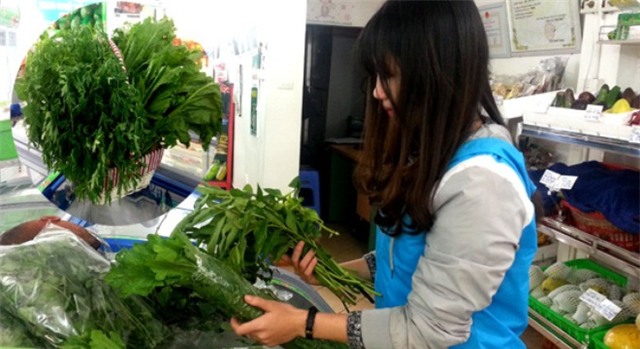 rau rừng, thực phẩm sạch, giỏ quà Tết, săn rau rừng, rau rừng ở hà nội, đặc sản rau rừng, rau rừng mua ở đâu, mốt săn rau rừng dịp tết, rau sạch