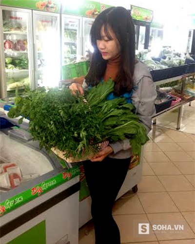 rau rừng, thực phẩm sạch, giỏ quà Tết, săn rau rừng, rau rừng ở hà nội, đặc sản rau rừng, rau rừng mua ở đâu, mốt săn rau rừng dịp tết, rau sạch