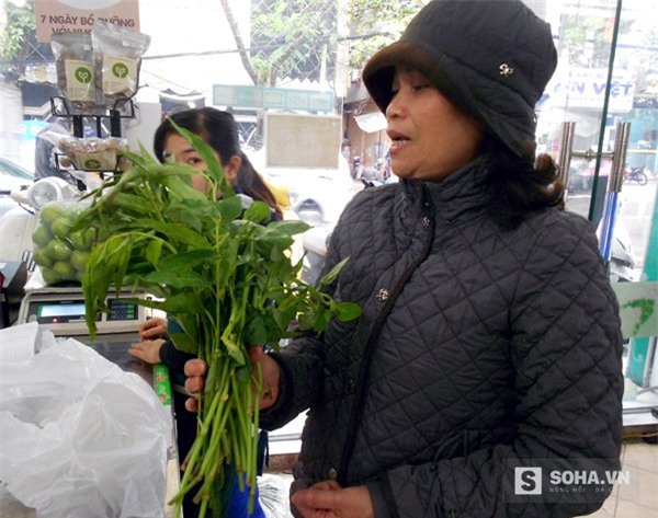 rau rừng, thực phẩm sạch, giỏ quà Tết, săn rau rừng, rau rừng ở hà nội, đặc sản rau rừng, rau rừng mua ở đâu, mốt săn rau rừng dịp tết, rau sạch
