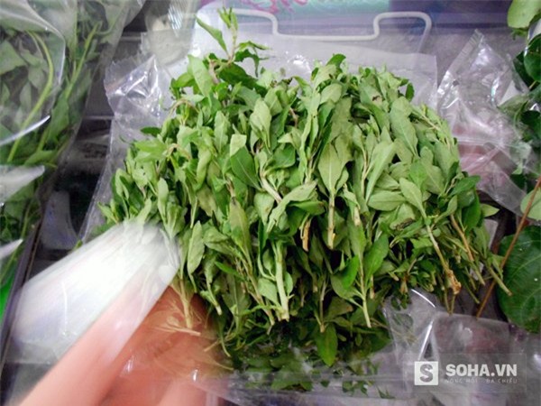 rau rừng, thực phẩm sạch, giỏ quà Tết, săn rau rừng, rau rừng ở hà nội, đặc sản rau rừng, rau rừng mua ở đâu, mốt săn rau rừng dịp tết, rau sạch