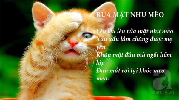 Bài hát cho trẻ mẫu giáo