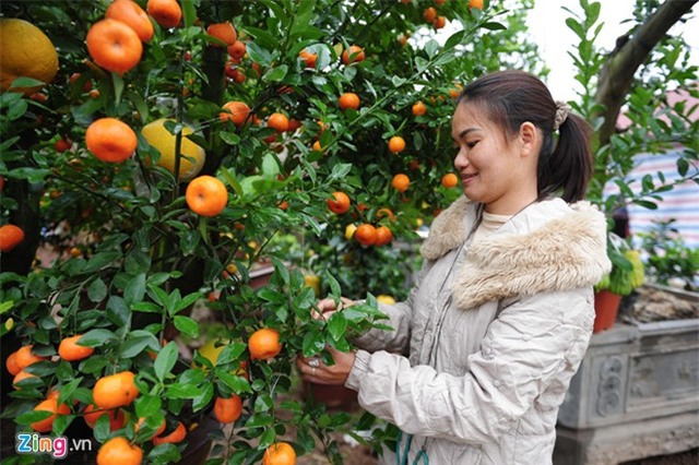 Chị Chu Thị Hoa cho biết, từ khoảng 5 năm trước, hai vợ chồng chị mày mò ghép mắt để tạo nên những cây cảnh đặc biệt.