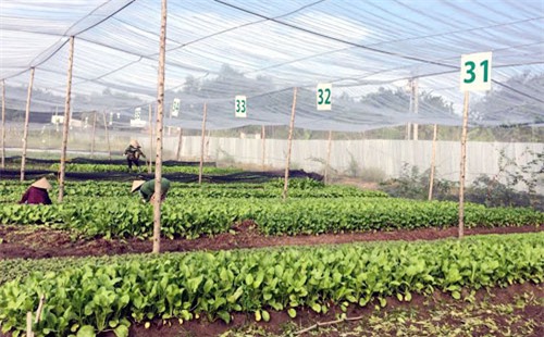 thực phẩm sạch, thuê thám tử, thuê tình báo theo dõi, cửa hàng thực phẩm, lắp camera, rau sạch, lợn giun quế, thực-phẩm-sạch, thuê-thám-tử, thuê-tình-báo-theo-dõi, cửa-hàng-thực-phẩm, lắp-camera, lợn-giun-quế