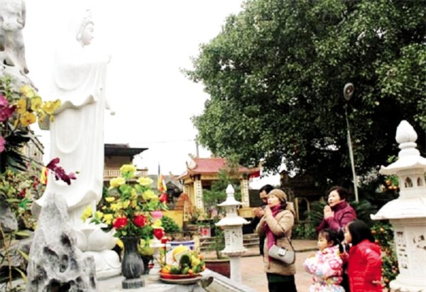 Ảnh minh họa: TL