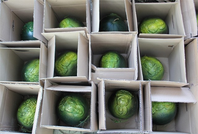 250.000 đồng một trái dưa hấu Tết đắp phù điêu ở Sài Gòn