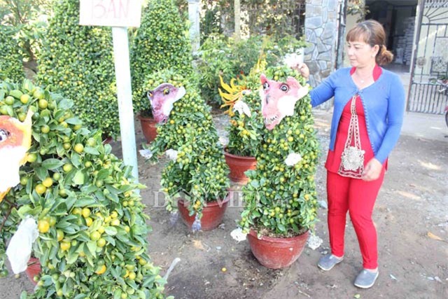 quat canh tao hinh khi, rong, lan… “sieu doc” o mien tay hinh anh 3