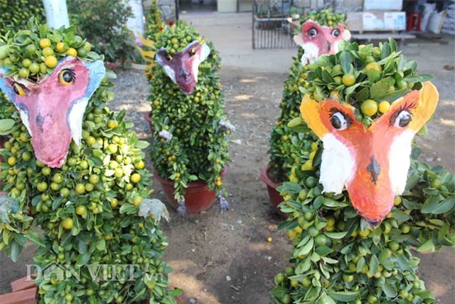 quat canh tao hinh khi, rong, lan… “sieu doc” o mien tay hinh anh 5