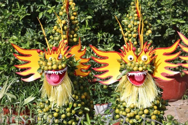 quat canh tao hinh khi, rong, lan… “sieu doc” o mien tay hinh anh 7