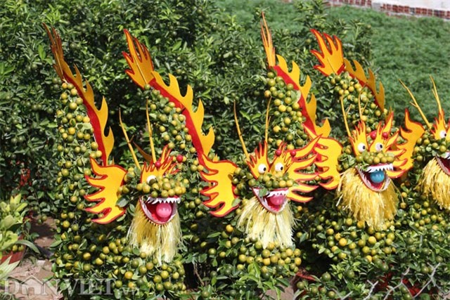 quat canh tao hinh khi, rong, lan… “sieu doc” o mien tay hinh anh 8