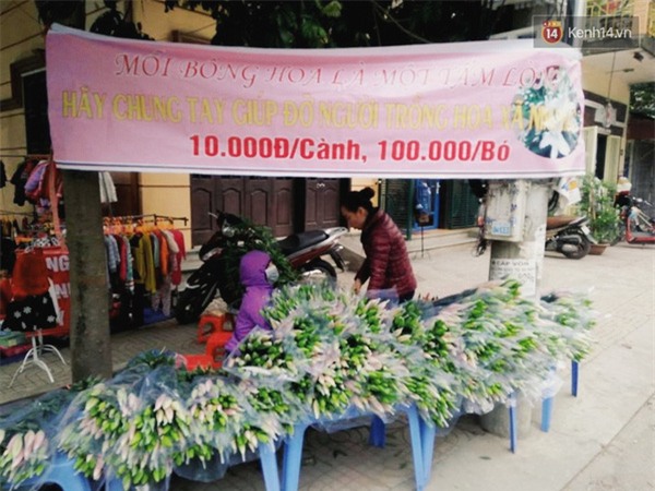 Nghịch lí xót xa - Giữa mùa đông mua điều hoà lạnh về để phanh tốc độ nở của hoa ly - Ảnh 5.