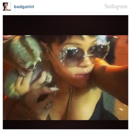 ảnh tự sướng, tự sướng, trộm đồ, iCloud, iPhone, điện thoại, nạn nhân, nghi phạm, đánh cắp, khoe hình, mạng xã hội, Facebook