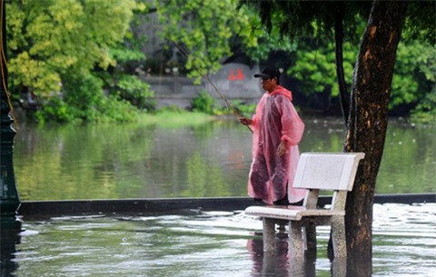 hồ Gươm, hồ Hoàn Kiếm, Tháp Rùa, chuyện lạ, cụ Rùa