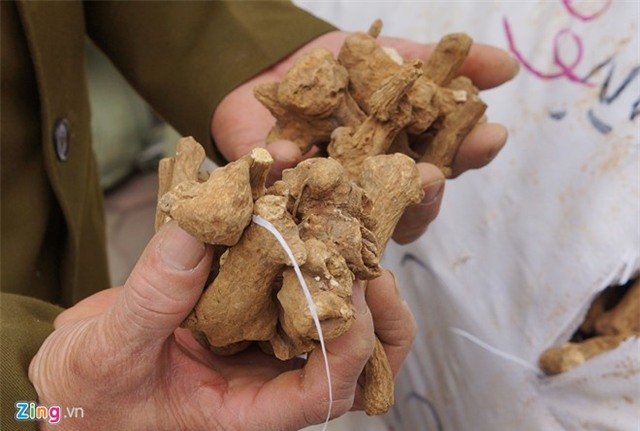 Chặn 10 tấn thuốc bắc Trung Quốc chờ ra chợ dược liệu