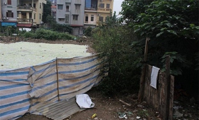 Mứt Tết bẩn phơi trên đất, cạnh nhà vệ sinh