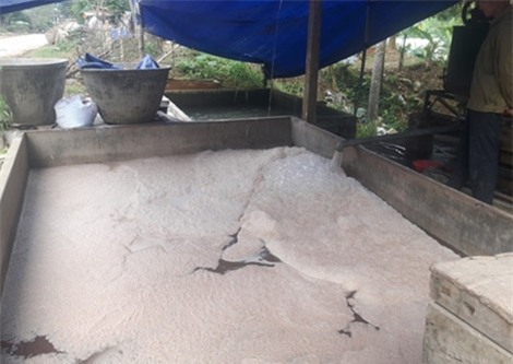 miến bẩn, quy trình chế biến miến bẩn, thực phẩm bẩn, Tết, sản xuất miến sợi