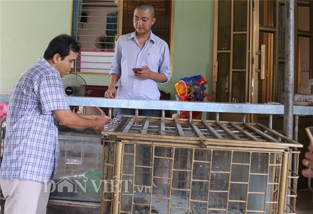 rùa siêu dị, rùa siêu xấu xí, rùa giá tiền tỷ, rùa Hồ Gươm