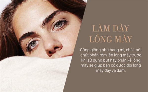 công dụng của phân rôm