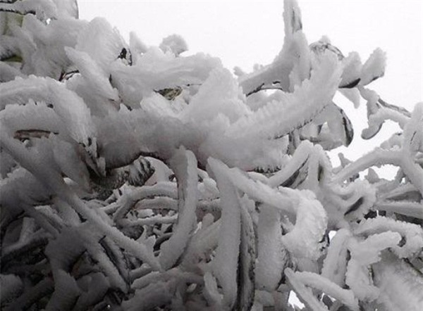 Không khí lạnh mạnh nhất từ đầu đông: Hà Nội có thể rét 6 độ C, Sa Pa xuất hiện băng giá - Ảnh 1.