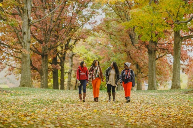 Đại học Harvard thay đổi tiêu chí tuyển sinh