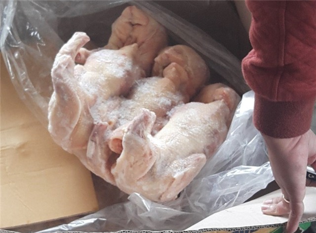 gà thải, gà thải loại, gà nhập khẩu