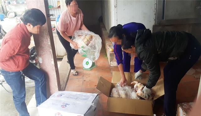 gà thải, gà thải loại, gà nhập khẩu