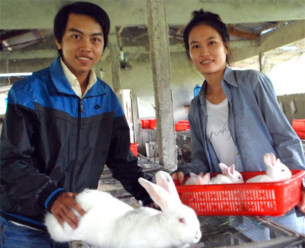 Những 9X bỏ phố về quê, mở trang trại thu nhập tiền tỷ