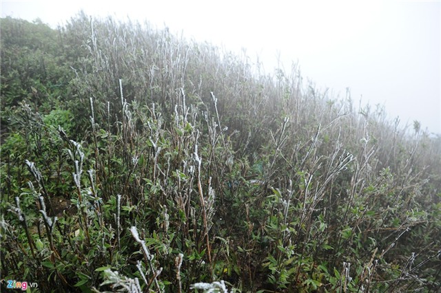 Băng tuyết phủ trắng trên đỉnh Mẫu Sơn