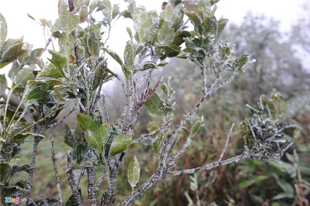 Băng tuyết phủ trắng trên đỉnh Mẫu Sơn