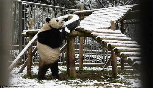 anh: trung quoc gia ret ky luc toi muc long may dong bang - 15