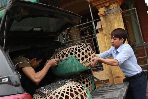 gà Đông Cảo, gà Đông Tảo, đặc sản, 9X, Giám đốc 9X lái Camry bán gà Đông Tảo, Tết