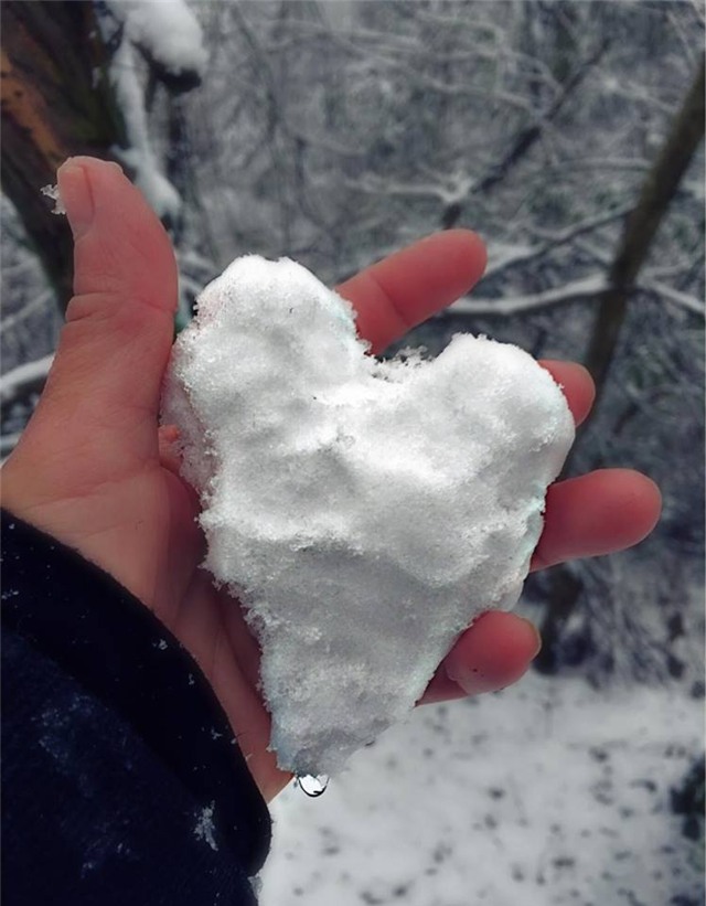 băng tuyết, tuyết, rét kỷ lục, Mẫu Sơn, Sa Pa