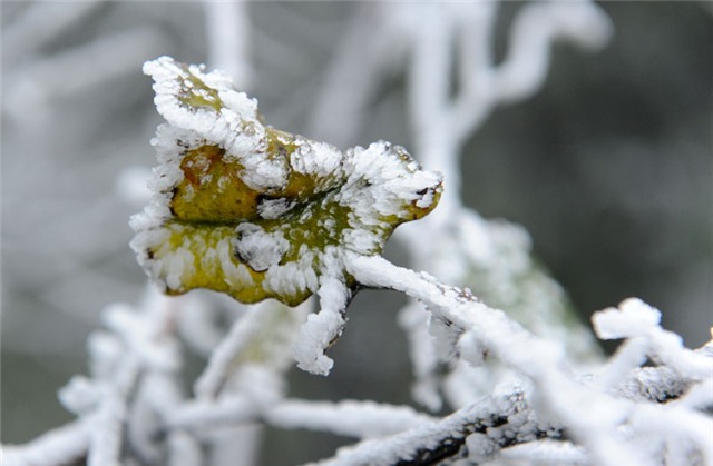 băng tuyết, tuyết, rét kỷ lục, Mẫu Sơn, Sa Pa