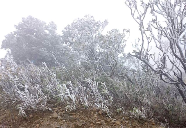 băng tuyết, tuyết, rét kỷ lục, Mẫu Sơn, Sa Pa